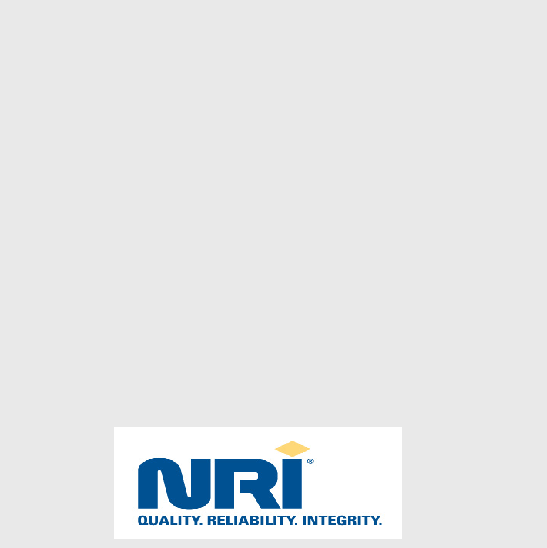 NRI Logo